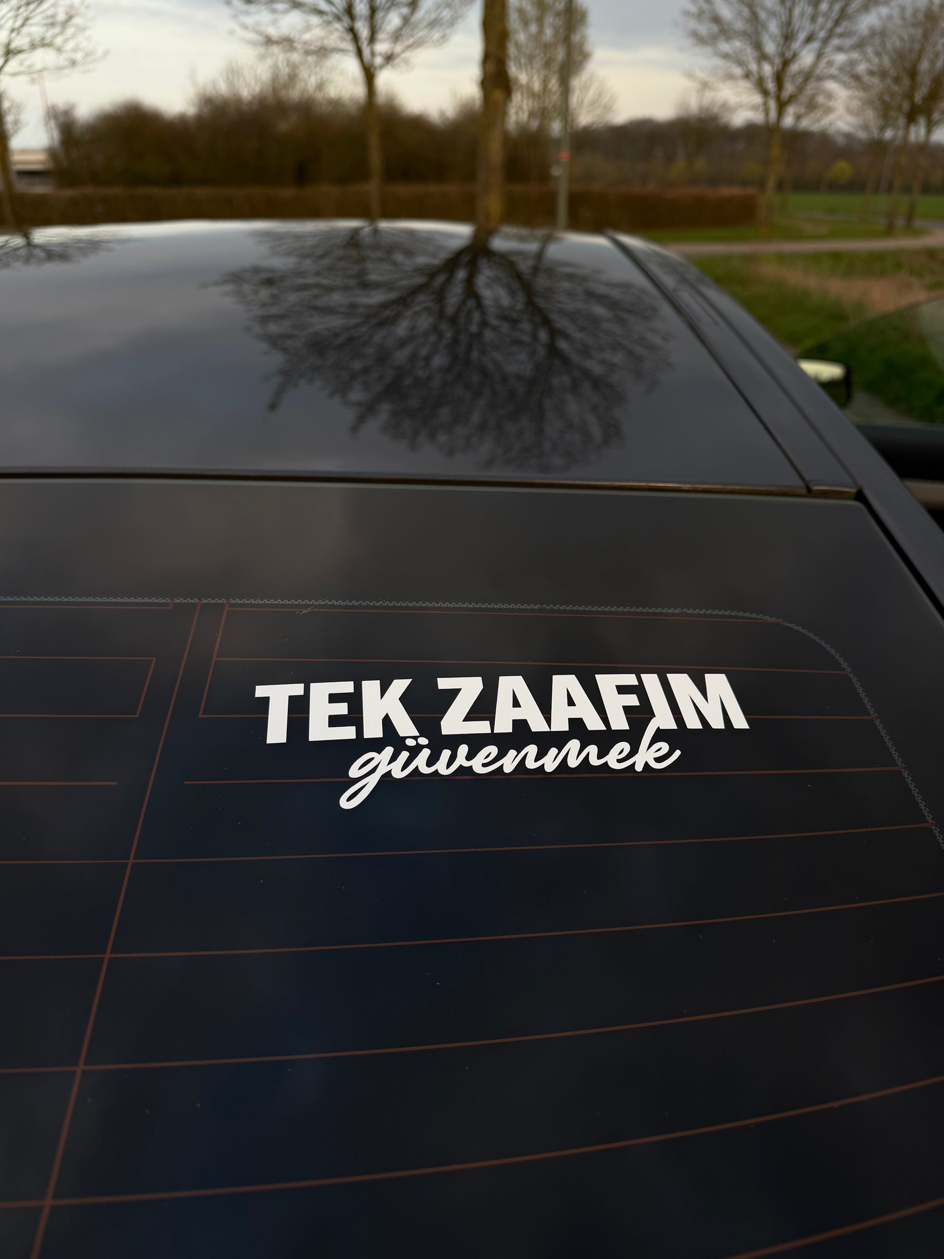TEK ZAAFIM güvenmek