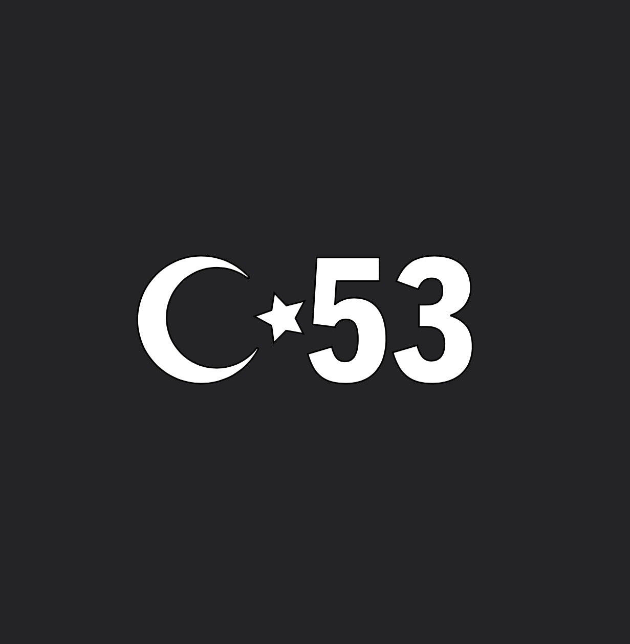 53
