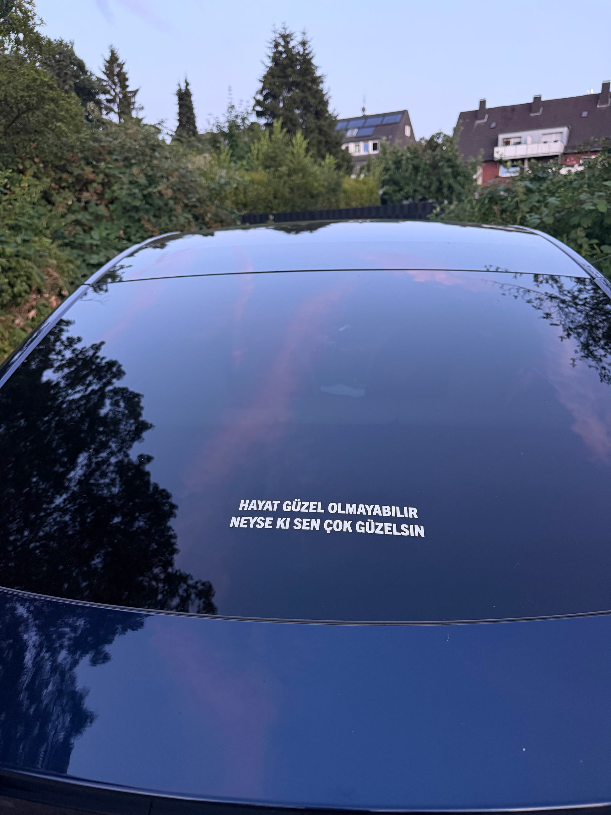 Hayat güzel olmayabilir neyse ki sen cok güzelsin