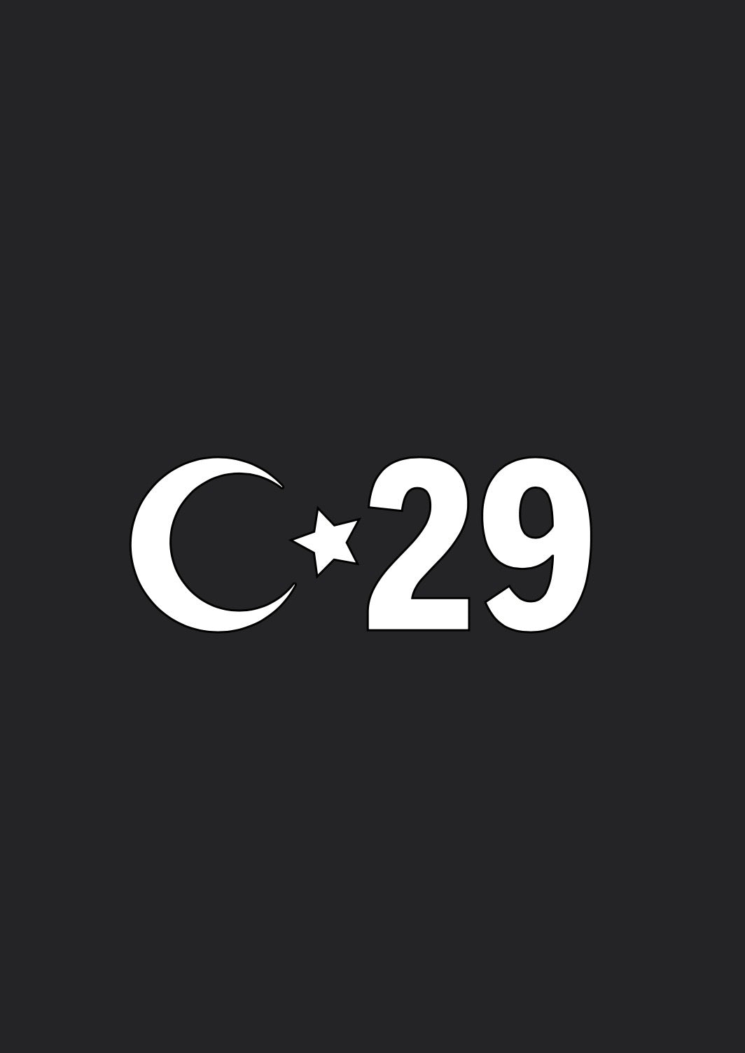 29