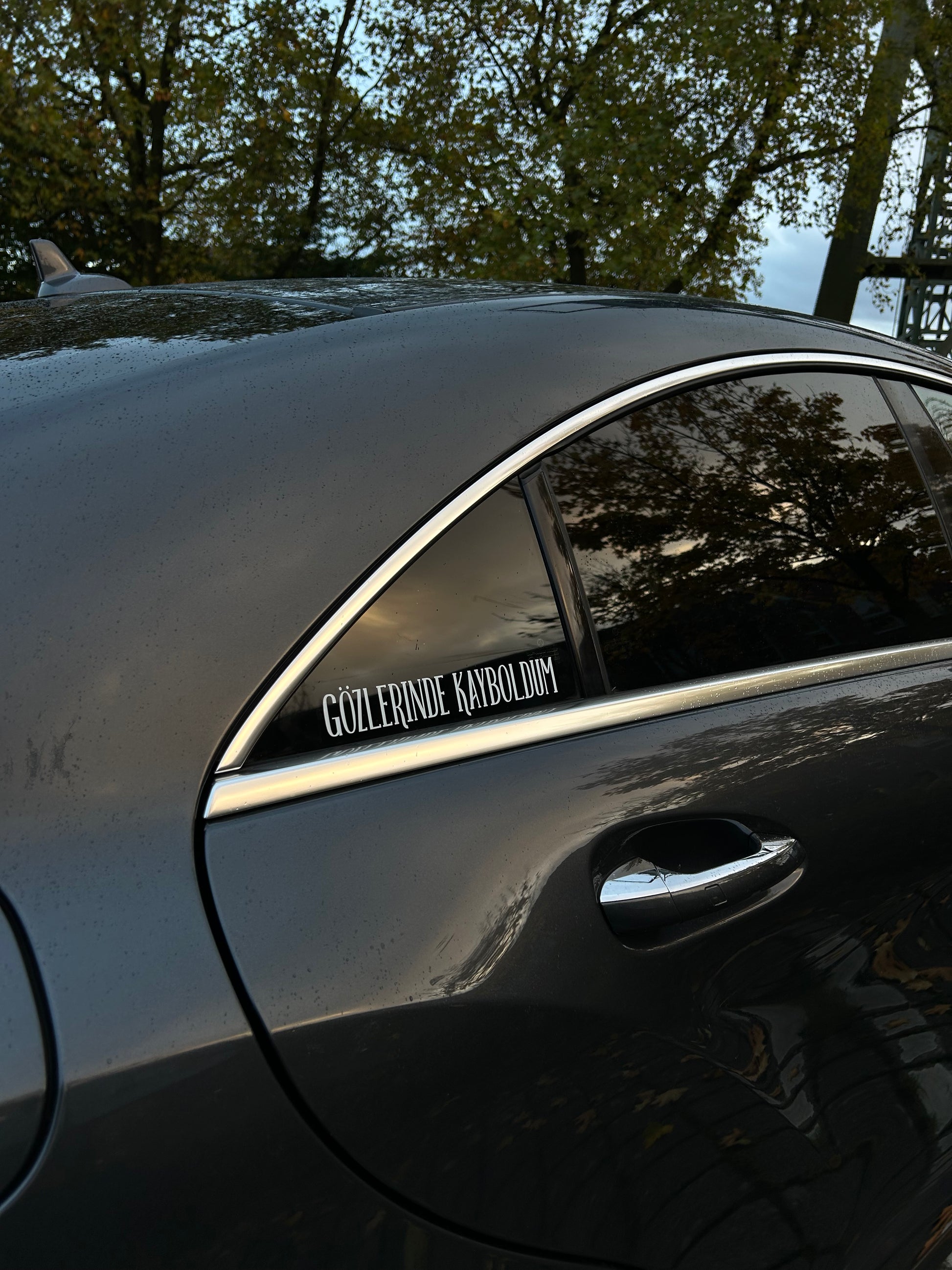 Gözlerinde kayboldum