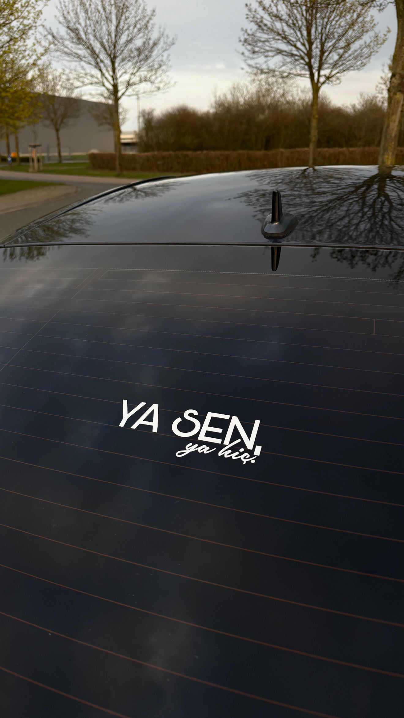 Ya sen, ya hic.