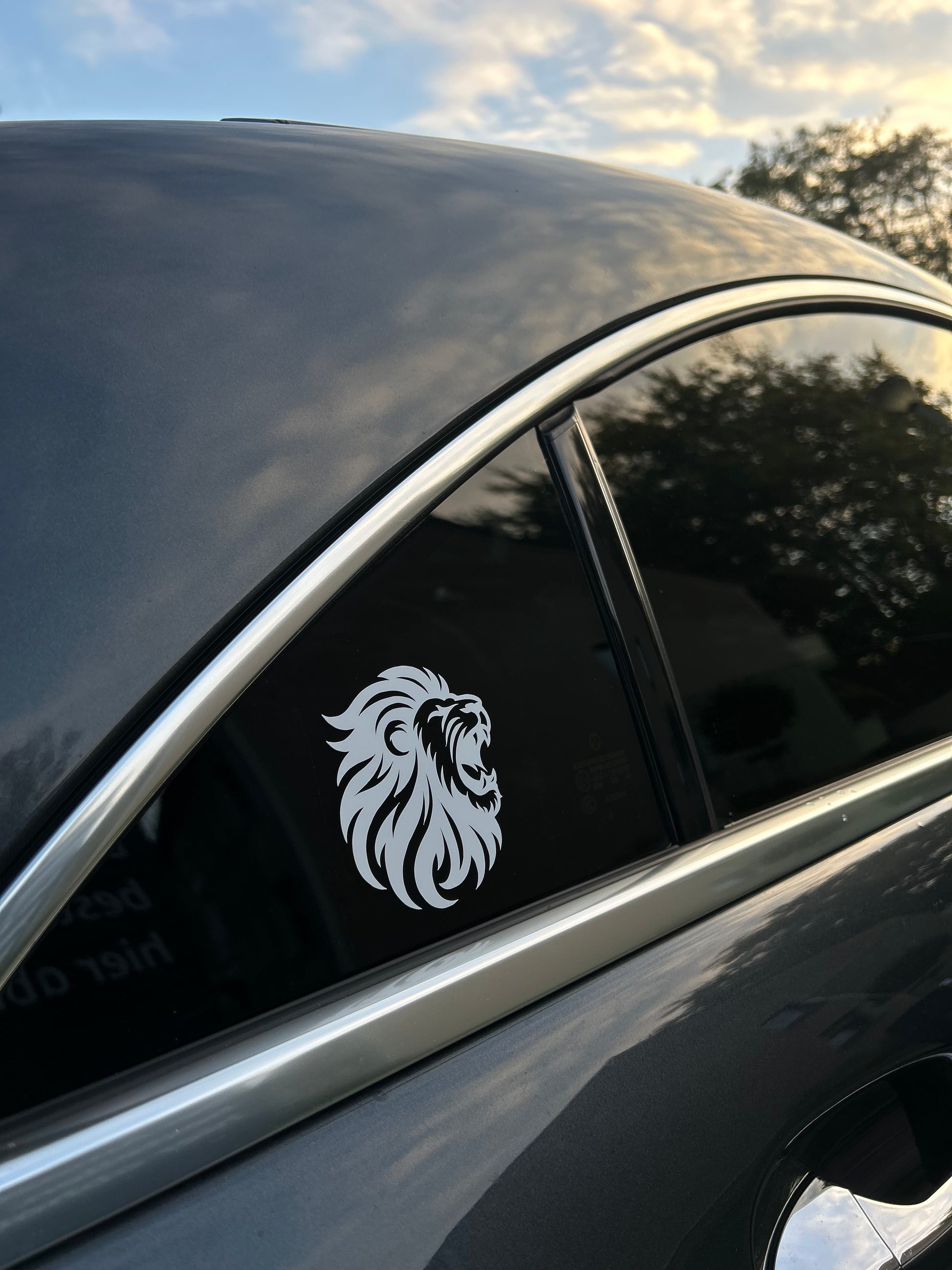 Aslan