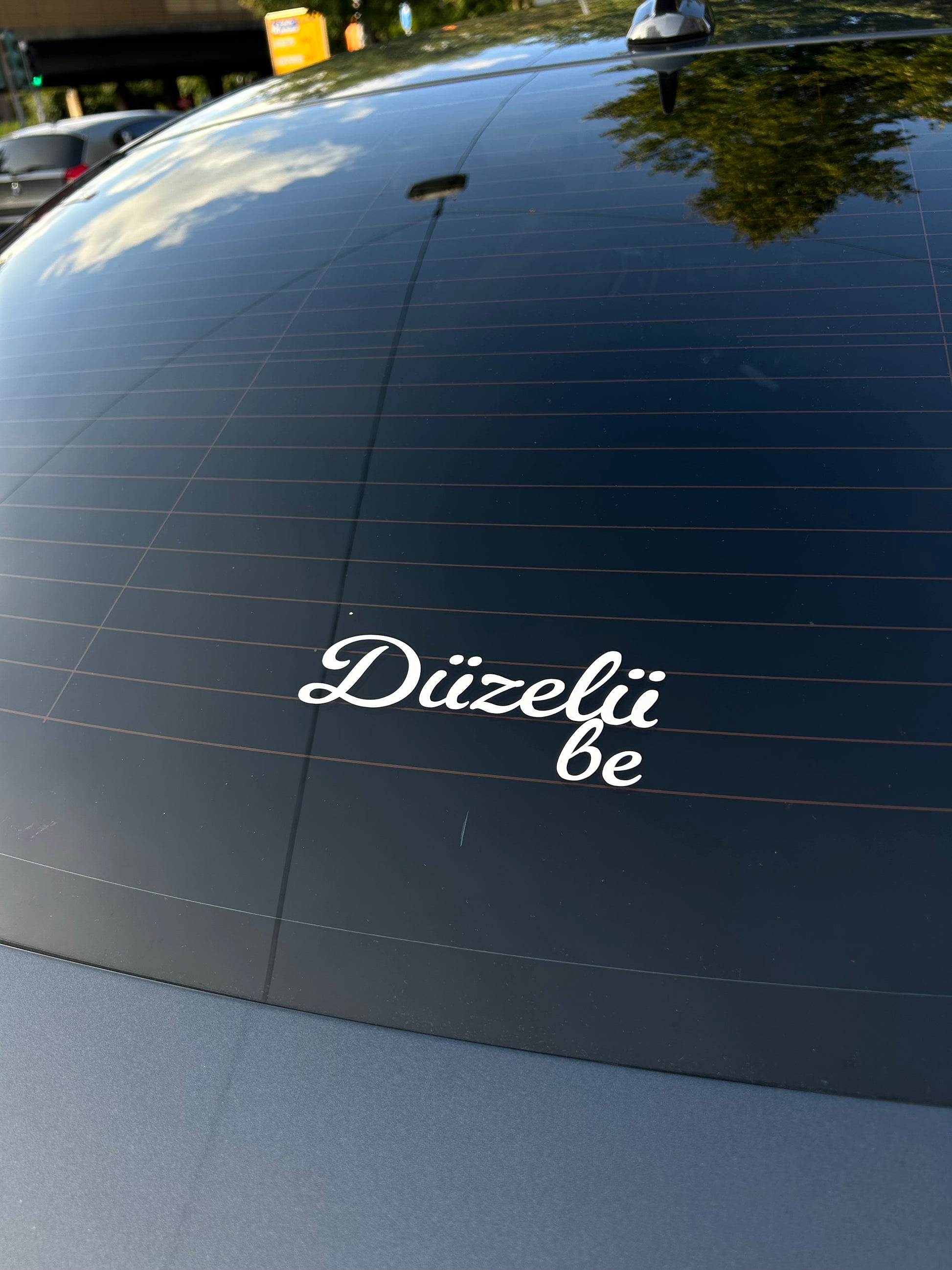 Düzelü be