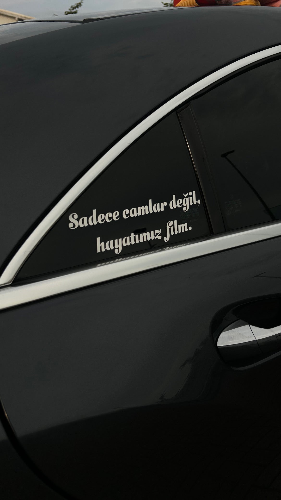 Sadece camlar degil, hayatimiz film.