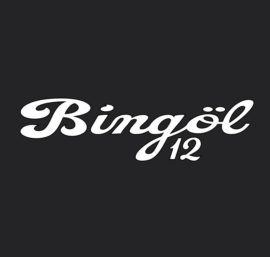 BINGÖL 12