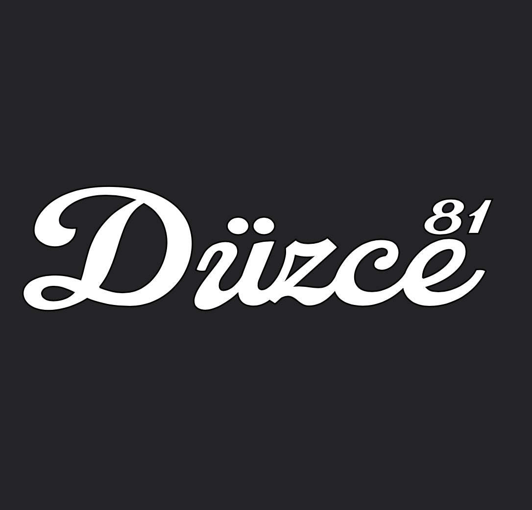 DÜZCE 81