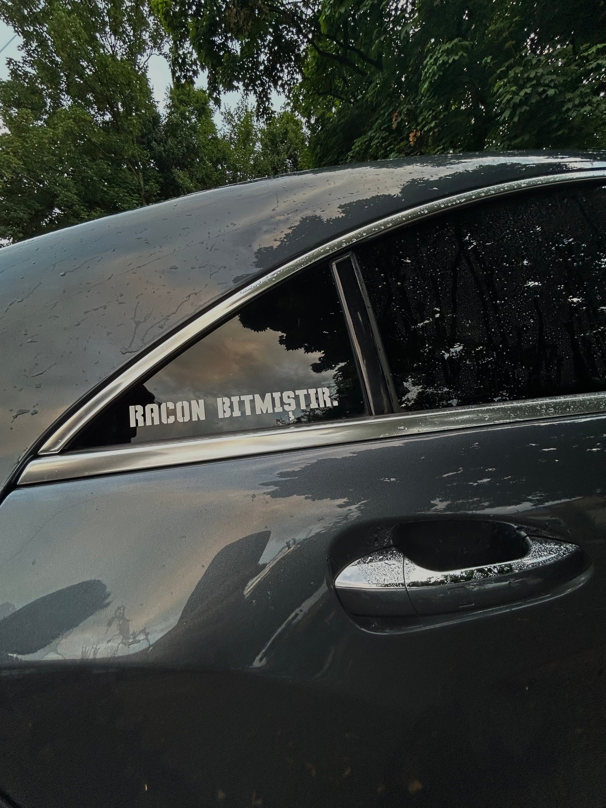 Racon bitmistir.