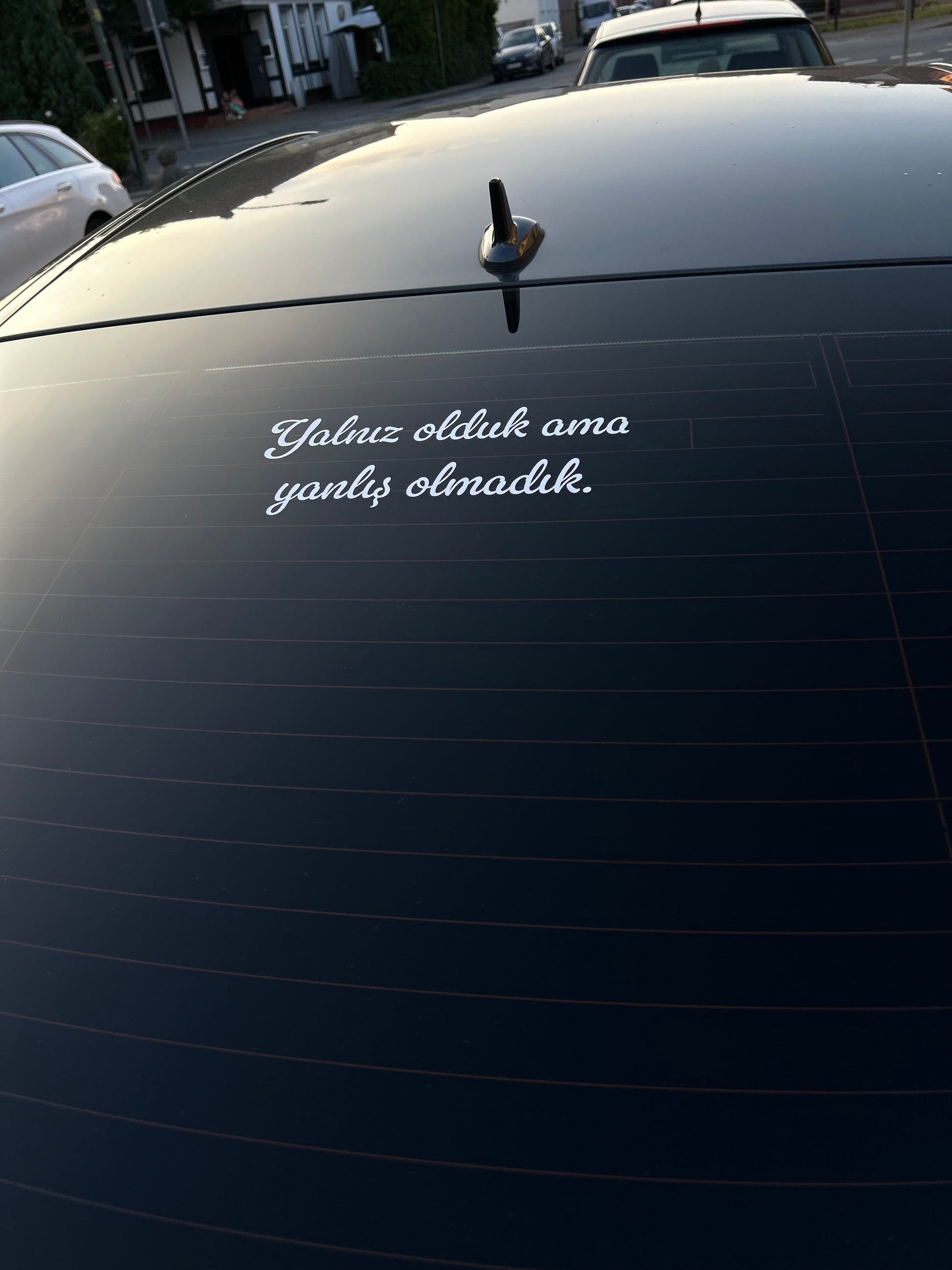 Yalniz olduk ama yanlis olmadik.