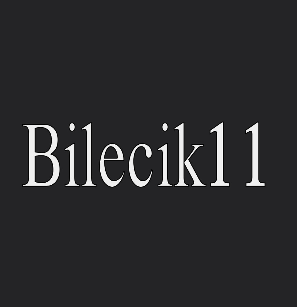 Bilecik 11